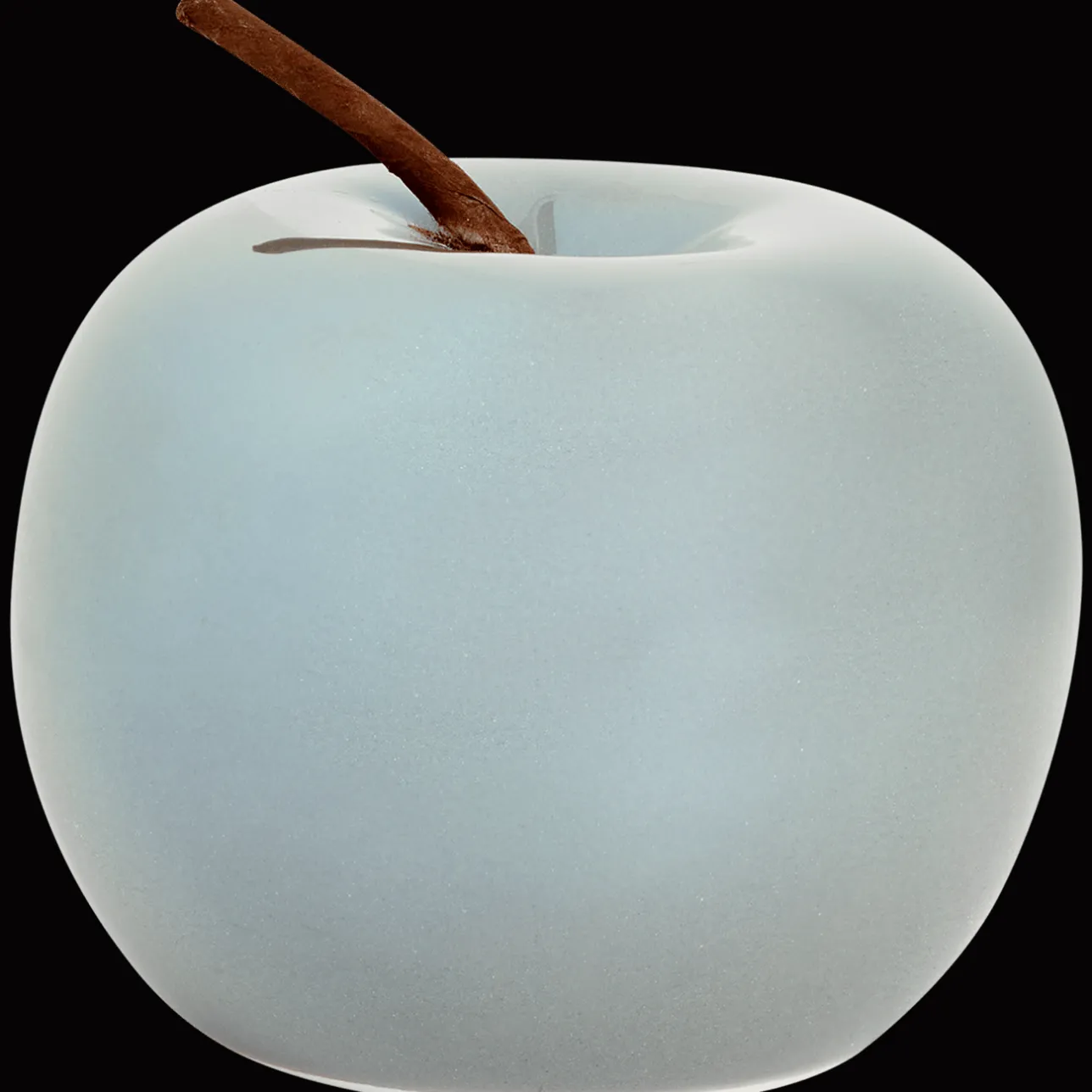 Action Absolu Chic keramieken appel> Woonaccessoires
