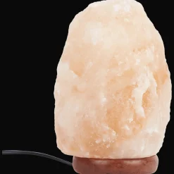 Action Absolu Chic zoutsteenlamp> Lampen
