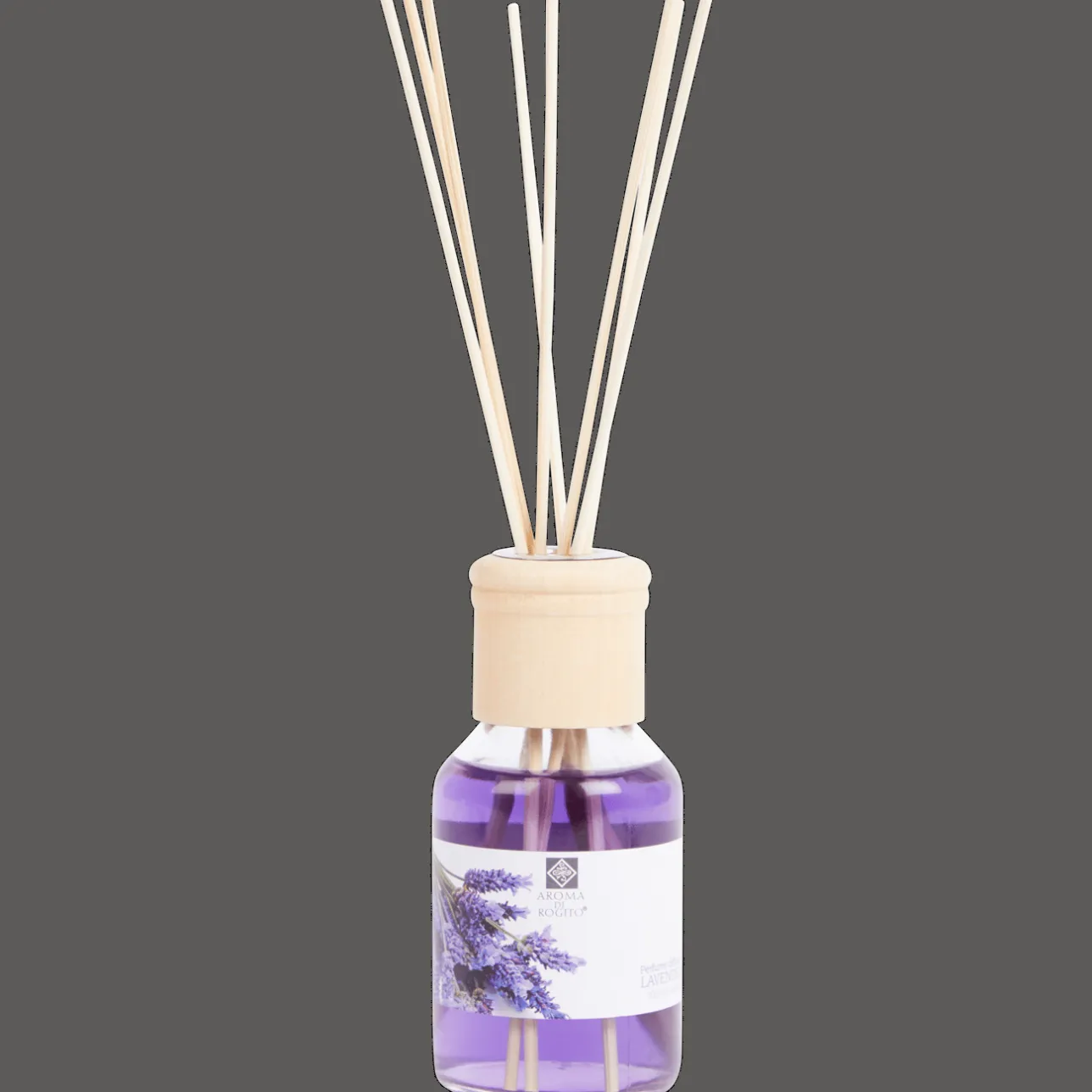 Action Aroma di Rogito geurverspreider> Woonaccessoires