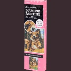 Action Avec diamond painting> Knutselen