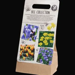 Action Bloembollen> Zaaien & Planten