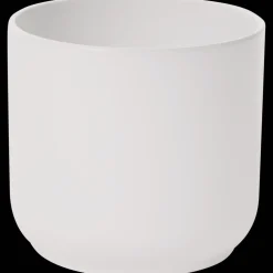 Action Bloempot><noscript><img width=