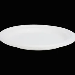 Action Borden van bagasse> Feestartikelen
