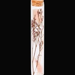 Action Buisje met droogbloemen> Woonaccessoires