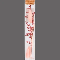 Action Buisje met droogbloemen><noscript><img width=