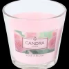 Candra geurkaars in glas> Kaarsen