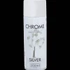 Action Chroom spuitverf zilver> Verf