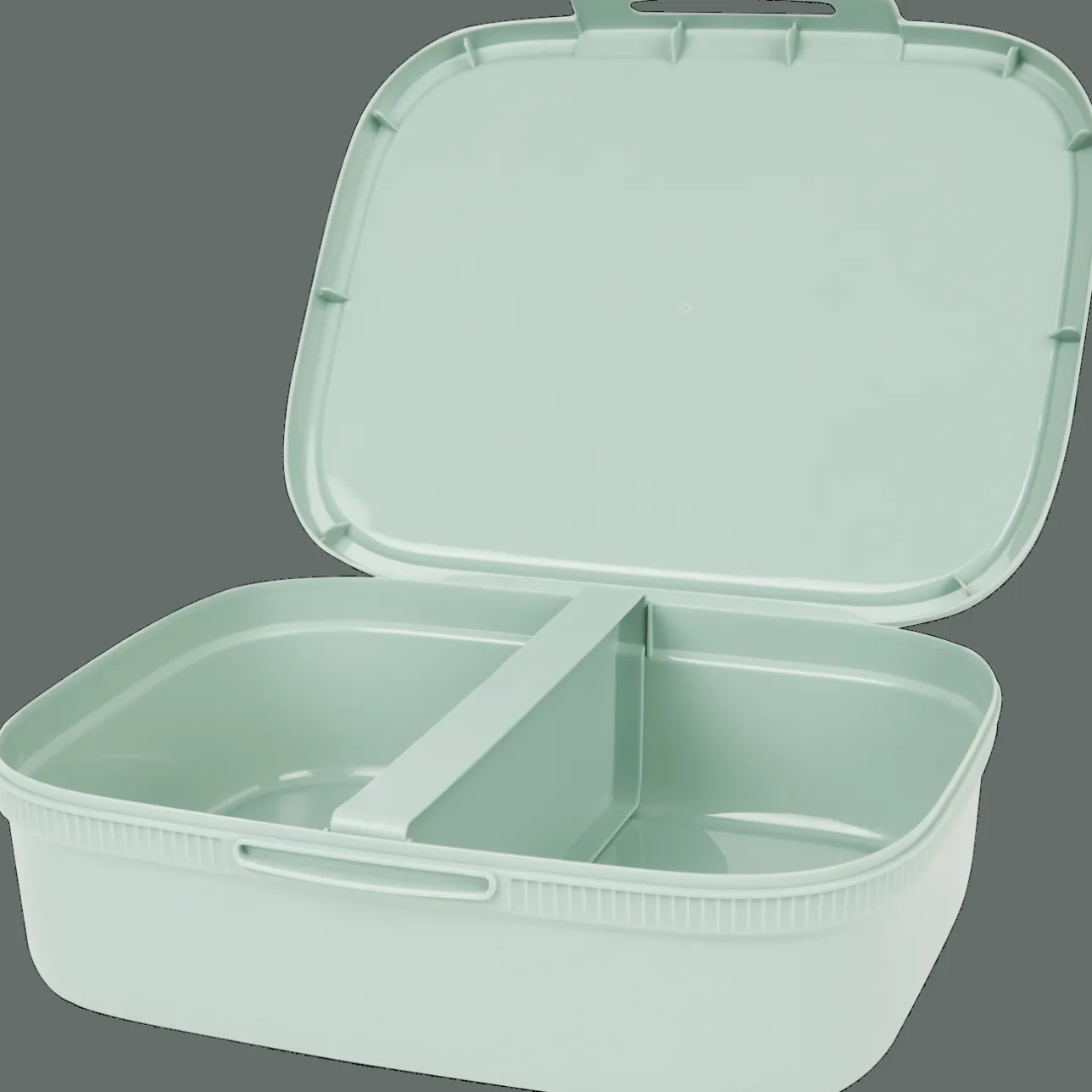 Curver lunchbox> Bewaren & Meenemen