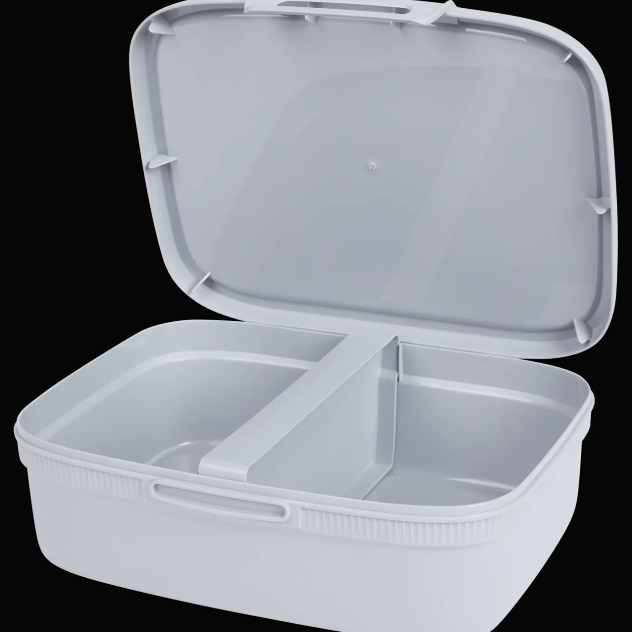 Curver lunchbox met divider> Bewaren & Meenemen
