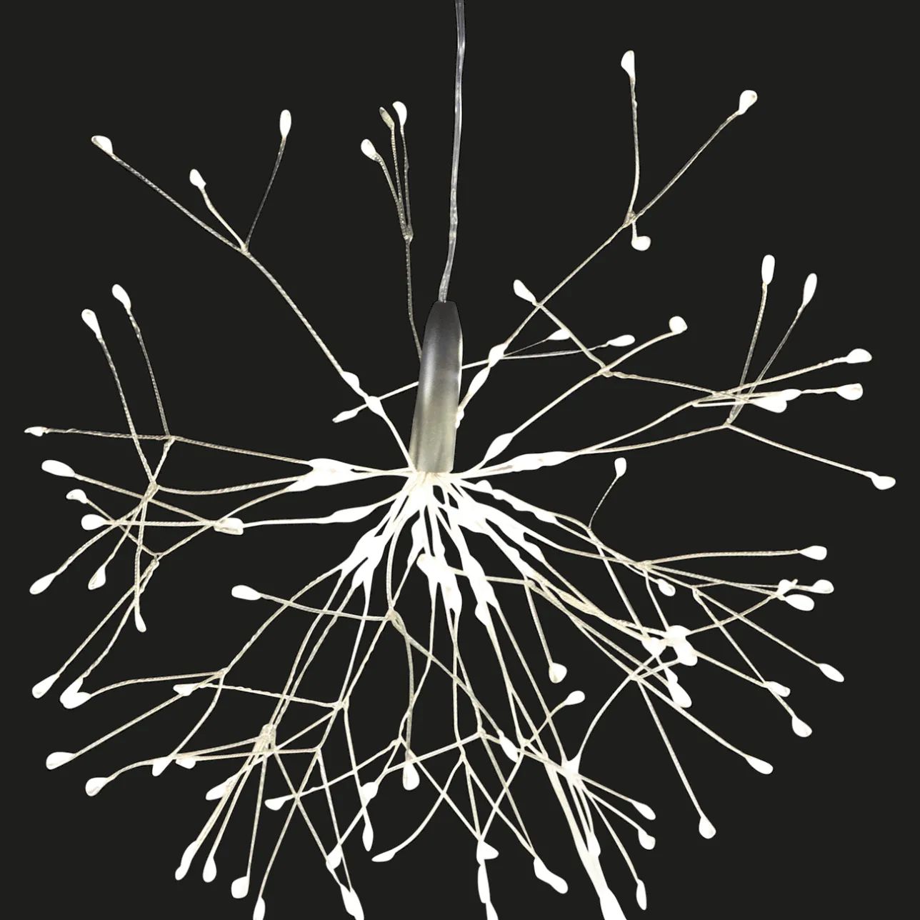 Action DAY lichtornament> Seizoensdecoratie