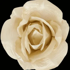 Action Decoratieve kunstroos> Kunstplanten & -Bloemen