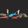 Action Dierenspeelset> Spellen