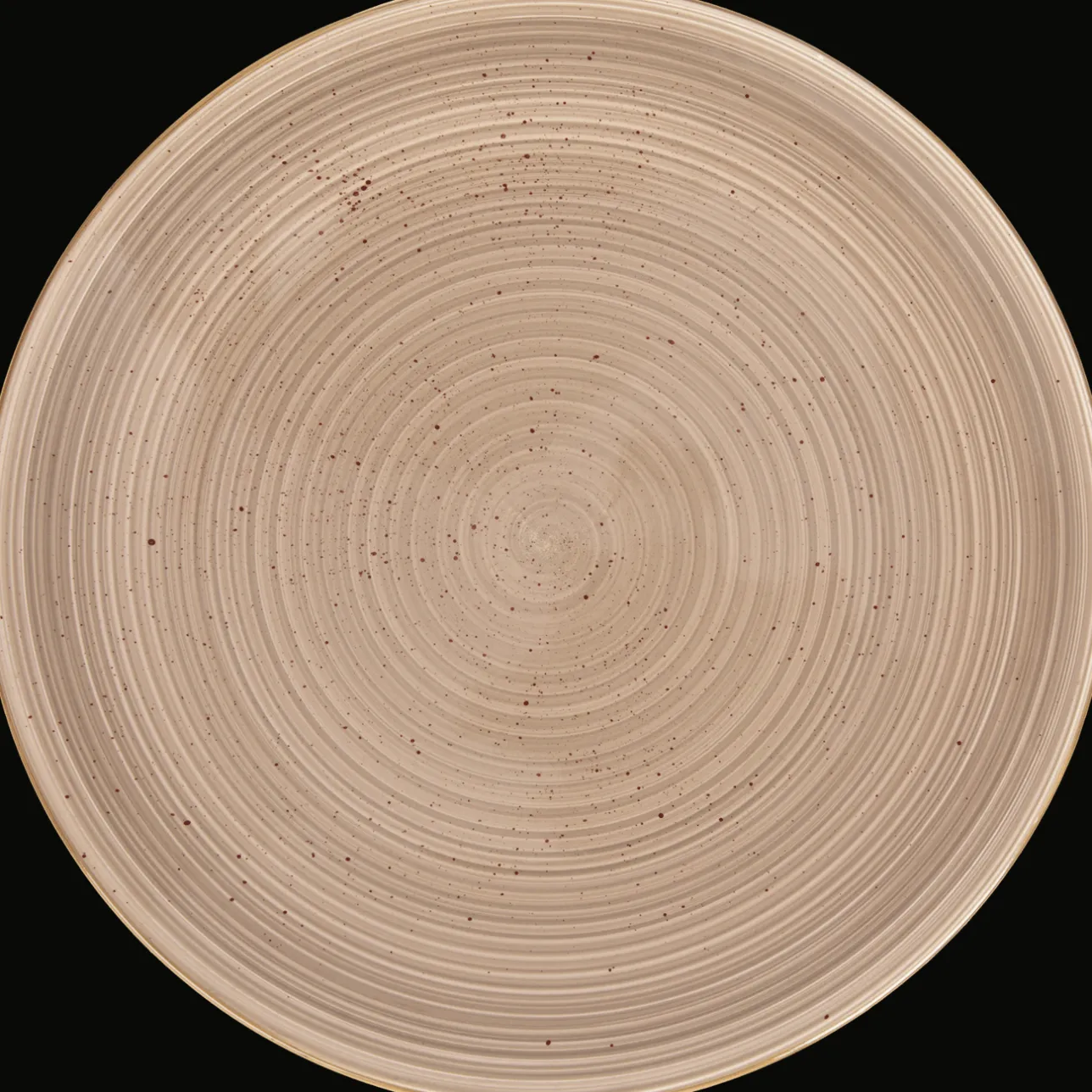 Action Dinerbord The FADE Collection> Servies