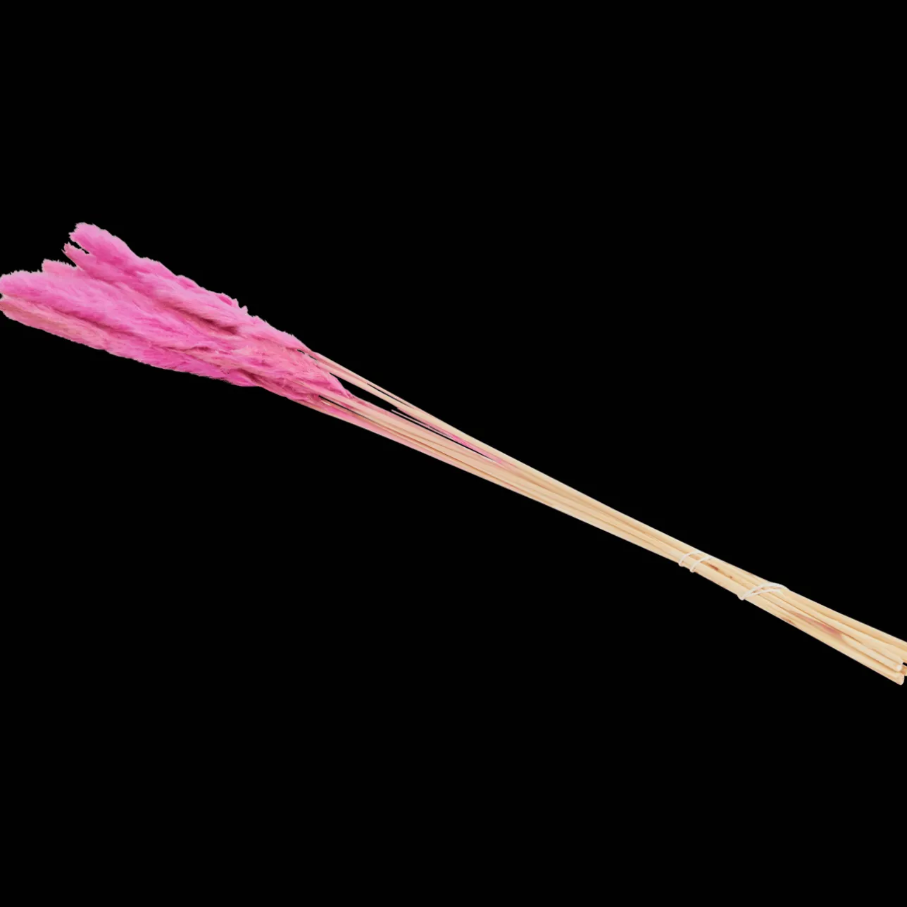 Action Droogboeket> Zaaien & Planten