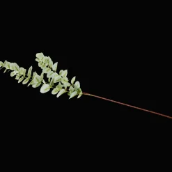 Action Excellent Flowers kunst-eucalyptus op steel> Kunstplanten & -Bloemen