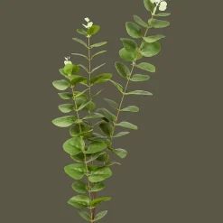 Action Excellent Flowers kunst-eucalyptus op steel> Kunstplanten & -Bloemen