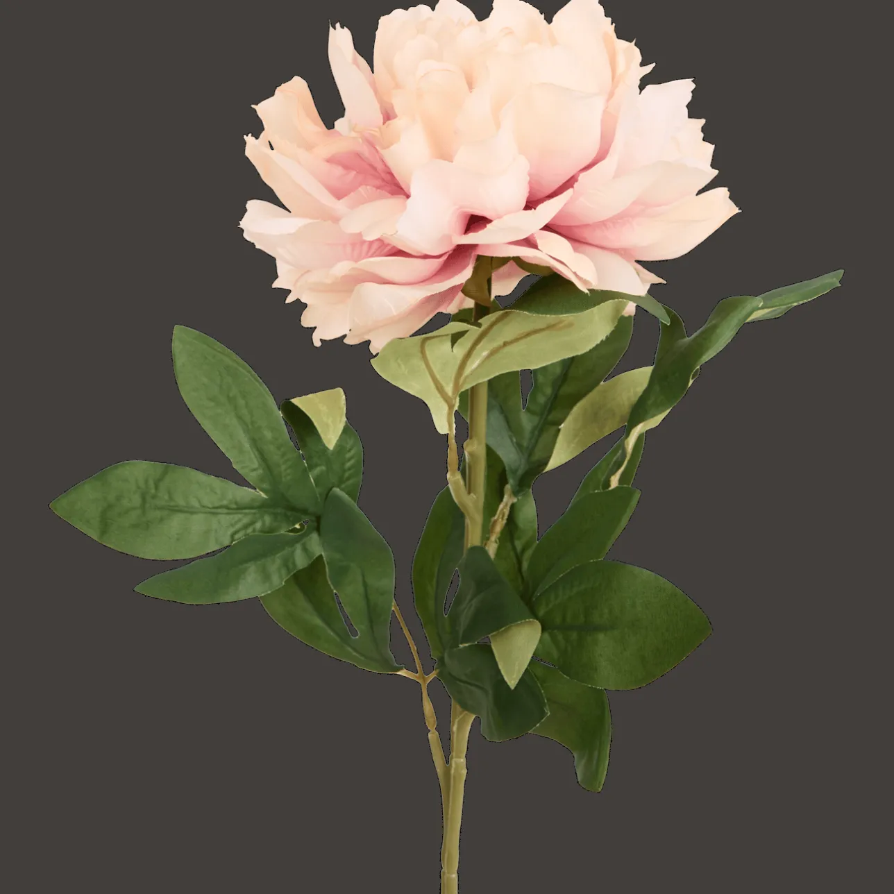 Action Excellent Flowers kunstpioenroos op steel> Kunstplanten & -Bloemen