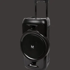 Fresh ’n Rebel draadloze partyspeaker met microfoon><noscript><img width=