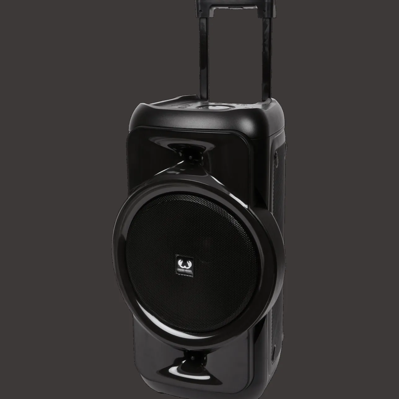 Fresh ’n Rebel draadloze partyspeaker met microfoon> Multimedia Accessoires