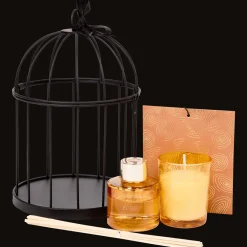 Action Geurkaars en -stokjes giftset><noscript><img width=