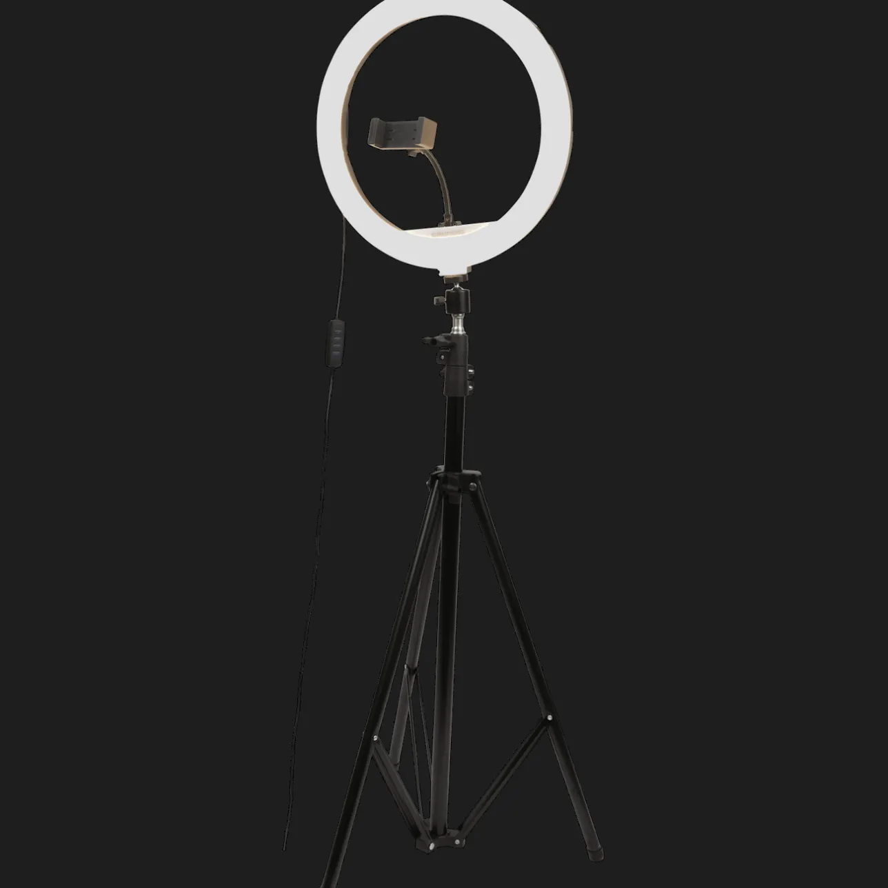Grundig XXL selfie ringlamp> Lampen