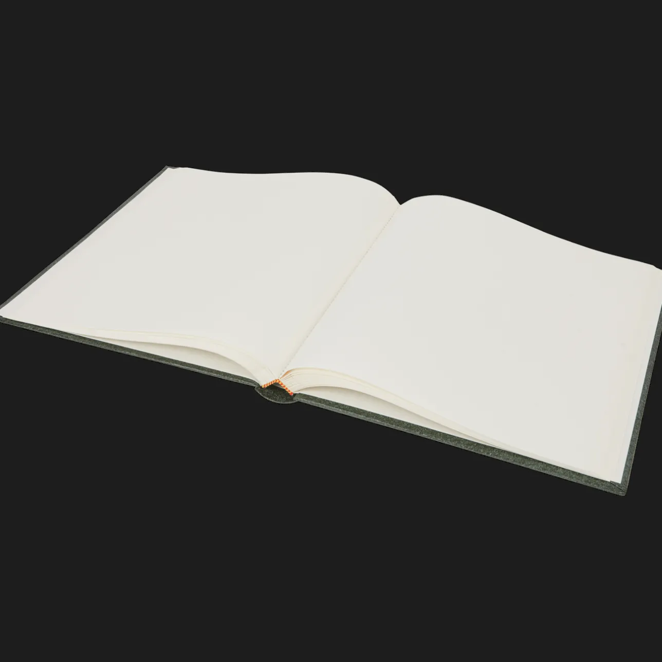 Action Hardcover fotoalbum> Fotoalbums
