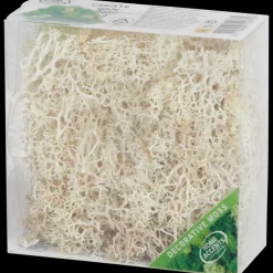 Action Home Accents decoratief mos><noscript><img width=