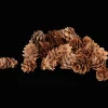 Action Home Accents decoratiemateriaal> Woonaccessoires