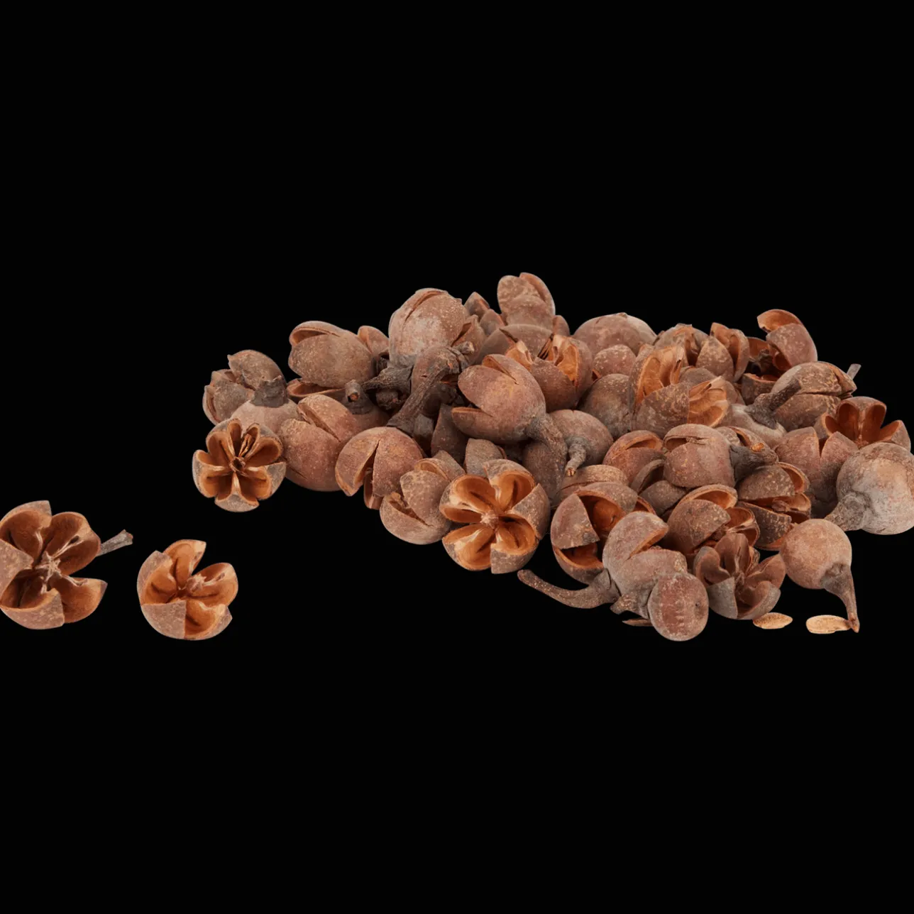 Action Home Accents decoratiemateriaal> Woonaccessoires