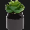 Action Home Accents kunstvetplantje in pot> Kunstplanten & -Bloemen