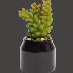 Action Home Accents kunstvetplantje in pot> Kunstplanten & -Bloemen