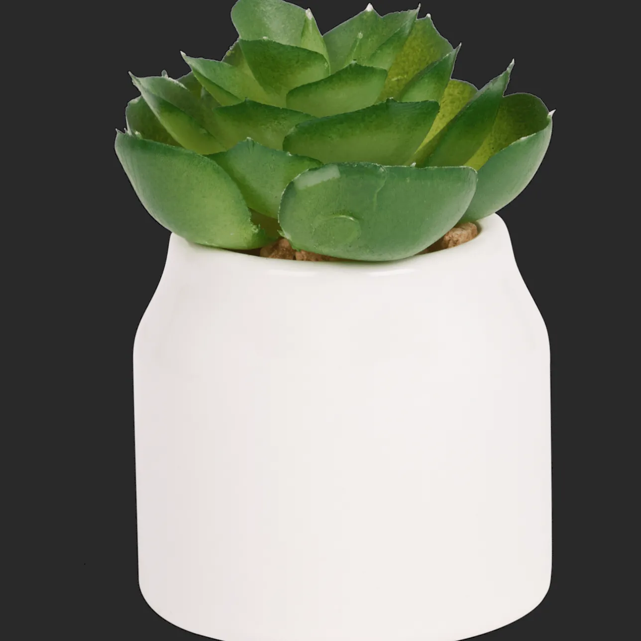 Action Home Accents kunstvetplantje in pot> Kunstplanten & -Bloemen