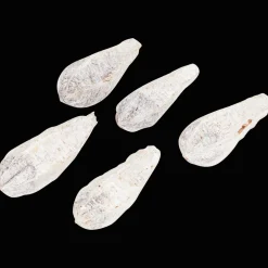 Action Home Accents natural droogmix><noscript><img width=