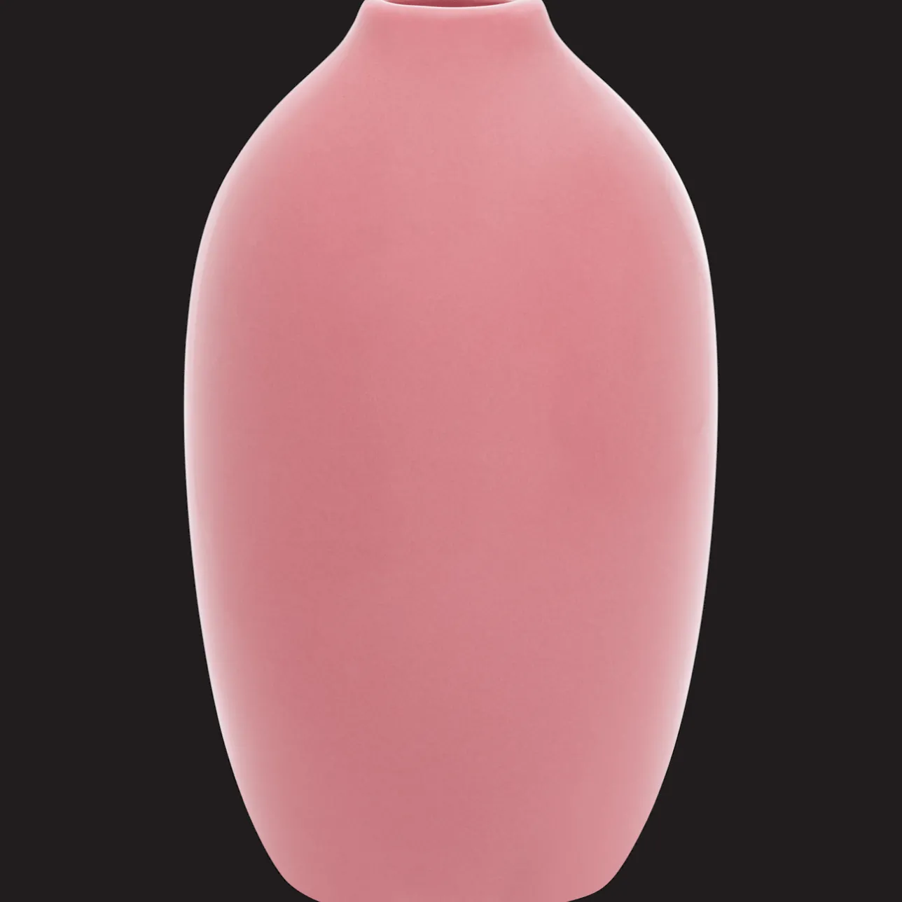 Action Home Accents vaas Diana> Potten & Vazen