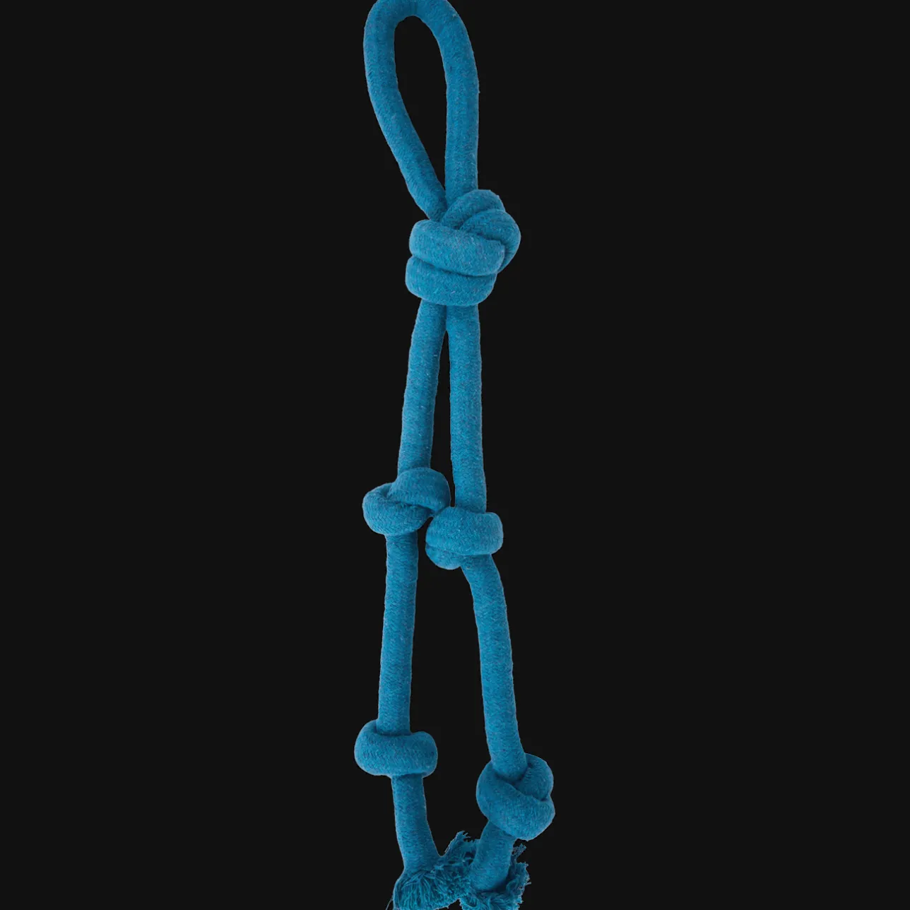 Action Hondenspeelgoed> Hond|Speeltjes