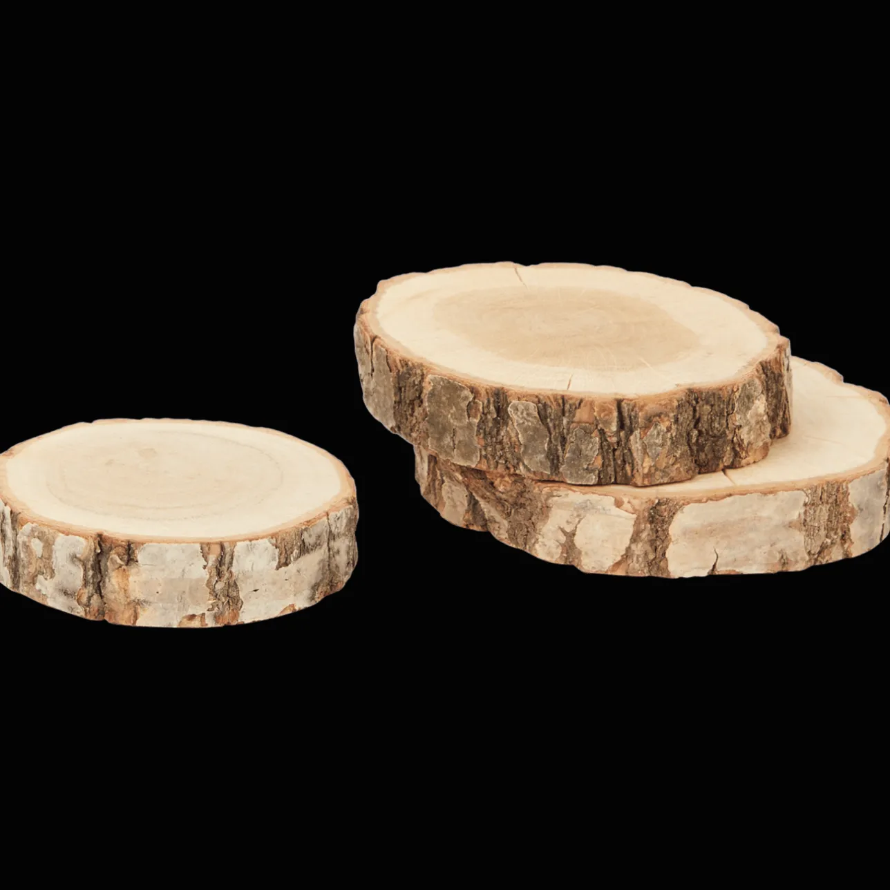 Action Houten schijven> Woonaccessoires