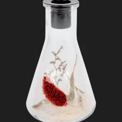 Action Kaarsenhouder met droogbloemen><noscript><img width=