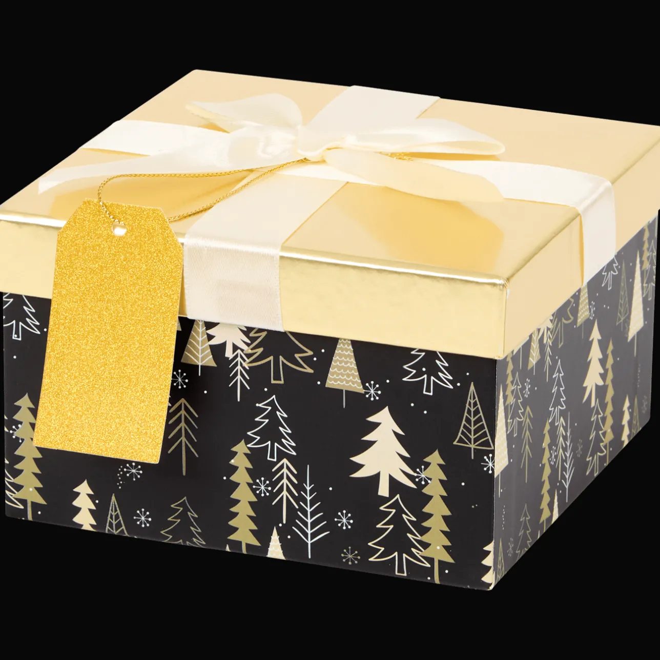 Action Kerst cadeaudoos> Inpakken