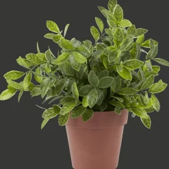 Action Kruidenplant in pot> Kunstplanten & -Bloemen