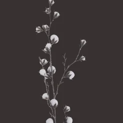 Action Kunst eikentak> Kunstplanten & -Bloemen