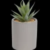 Action Kunst vetplant in pot> Kunstplanten & -Bloemen