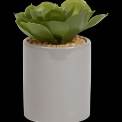 Action Kunst vetplant in pot><noscript><img width=