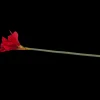 Action Kunstamaryllis op steel> Kunstplanten & -Bloemen