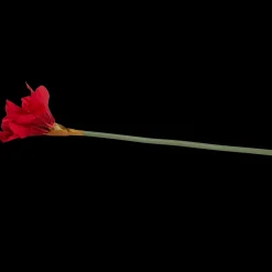 Action Kunstamaryllis op steel> Kunstplanten & -Bloemen
