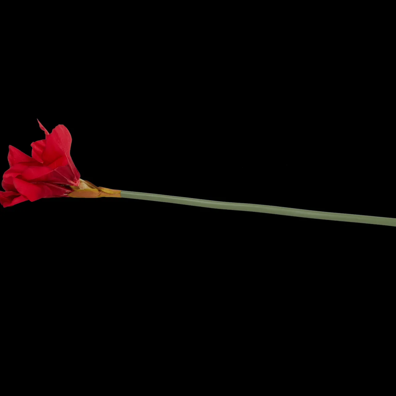 Action Kunstamaryllis op steel> Kunstplanten & -Bloemen