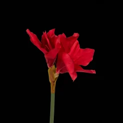 Action Kunstamaryllis op steel> Kunstplanten & -Bloemen