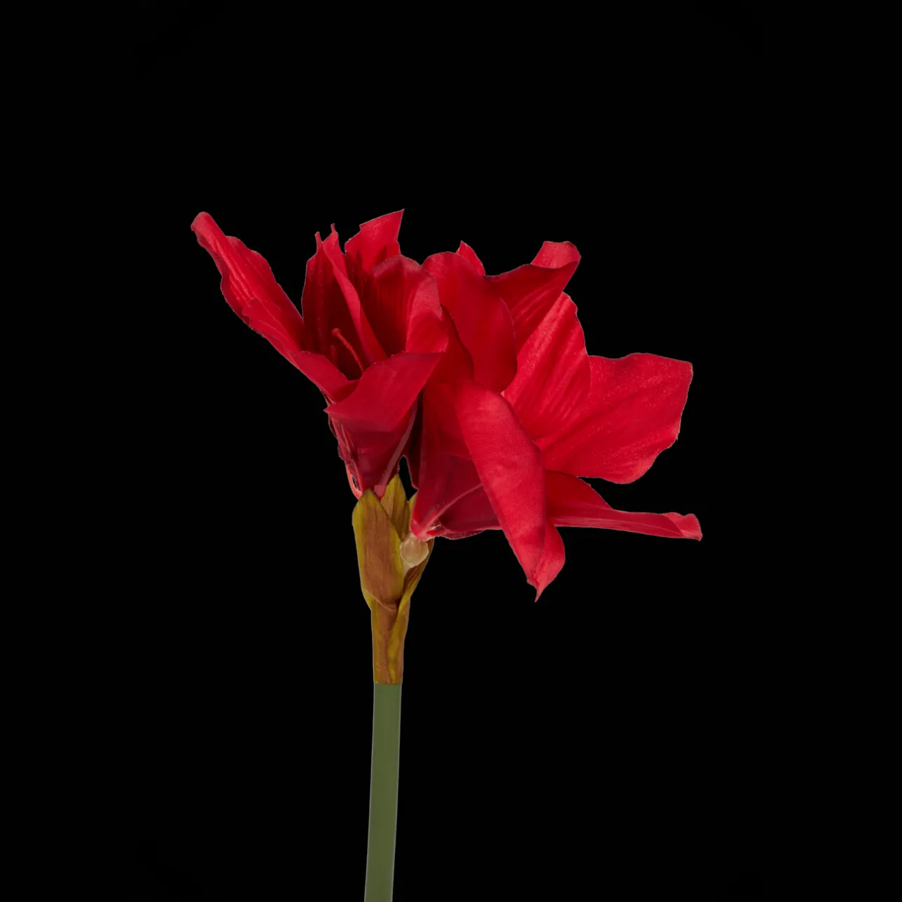 Action Kunstamaryllis op steel> Kunstplanten & -Bloemen