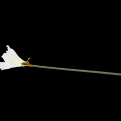 Action Kunstamaryllis op steel><noscript><img width=