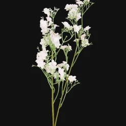 Action Kunstgipskruid> Kunstplanten & -Bloemen