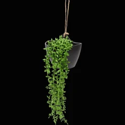 Action Kunsthangplant> Kunstplanten & -Bloemen